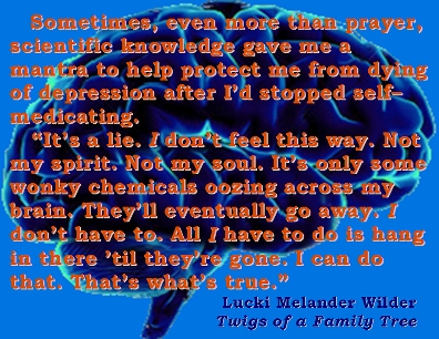 Sometimes, even more than prayer, scientific knowledge gave me a mantra to help protect me from dying of depression after I'd stopped self-medicating. "It's a lie. I don't feel this way. Not my spirit. Not my soul. It's only some wonky chemicals oozing across my brain. They'll eventually go away. I don't have to. All I have to do is hang in there 'til they're gone. I can do that. That's what's true." #Depression #DepressionIsALiar #Recovery